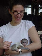 Cute and  Adorable Male and Female capuchine monkey's for adoption 